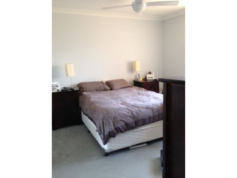 14/33-41 Hanks Street, Ashbury NSW 2193