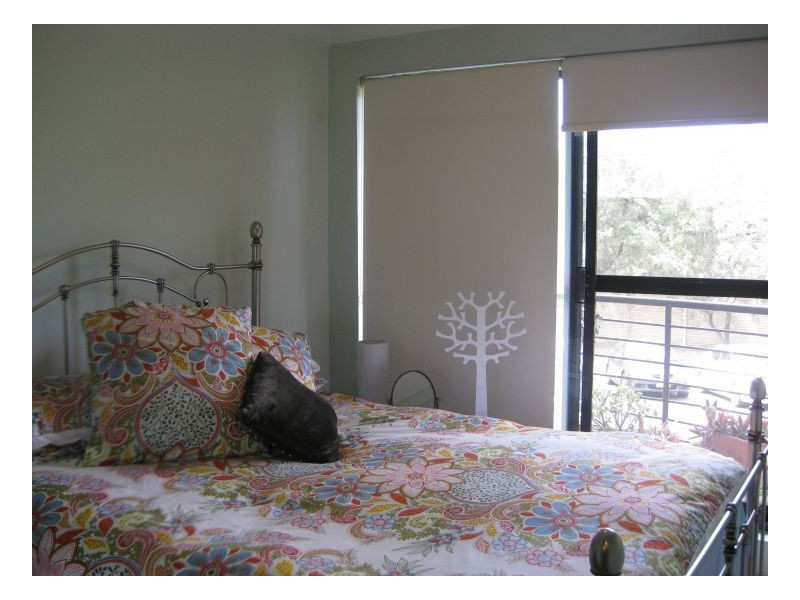 15/17-37 Lawrence Street, Alexandria NSW 2015