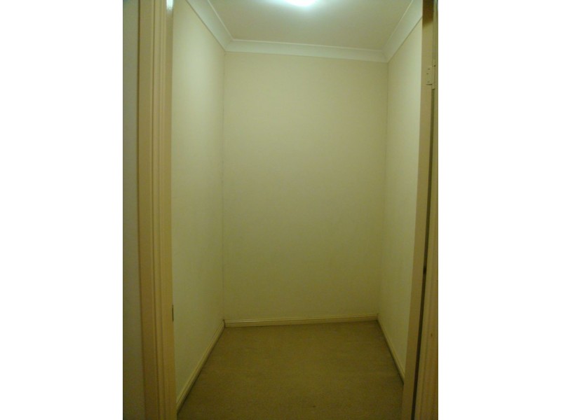 19/52 Regent Street, Chippendale NSW 2008