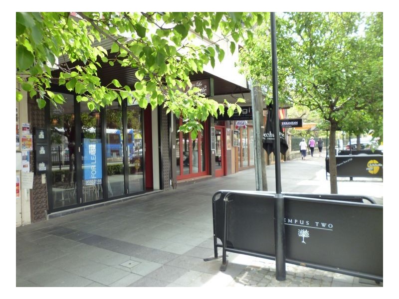 231 Darling Street, Balmain NSW 2041