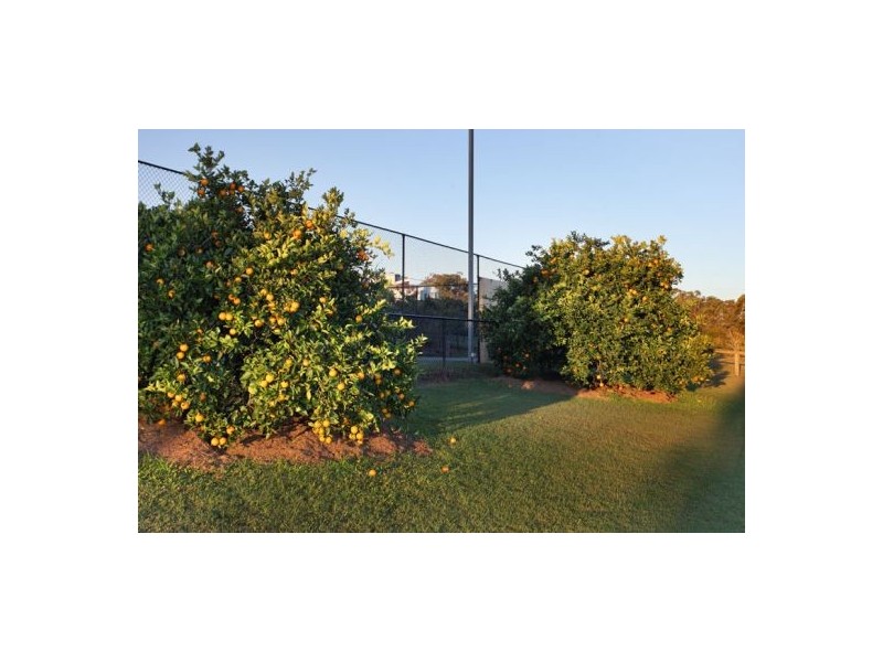 6 Mayflower st, Warner QLD 4500