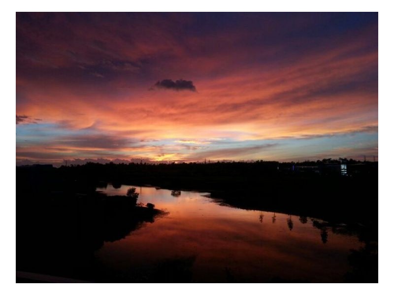 25e 129 Laver Drive, Robina QLD 4226