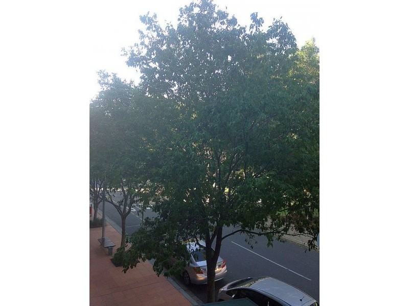 2123/178 Grey Street, South Bank QLD 4101