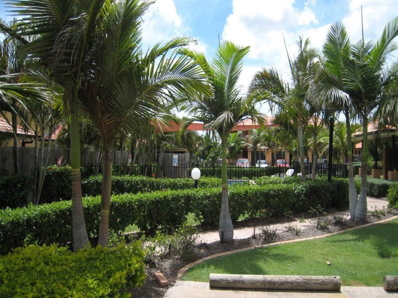 56/8 Diamond Place, Runcorn QLD 4113