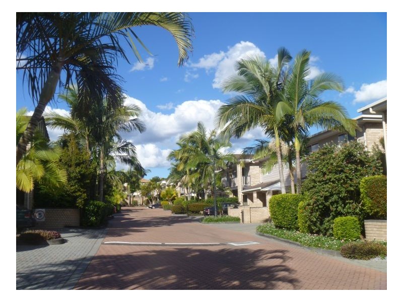 16 Arcadia Street, Eight Mile Plains QLD 4113