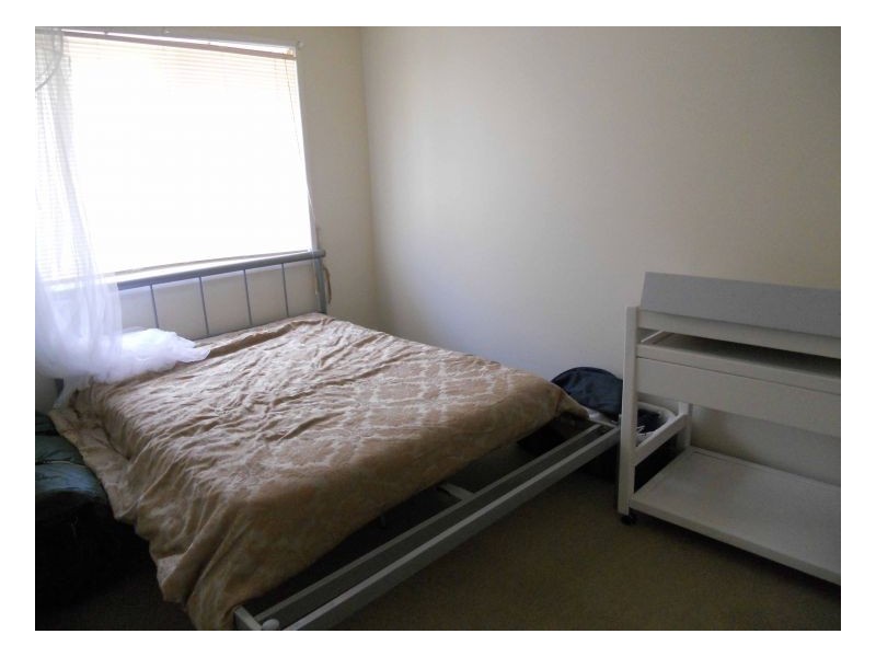 77 Park Road, Slacks Creek QLD 4127