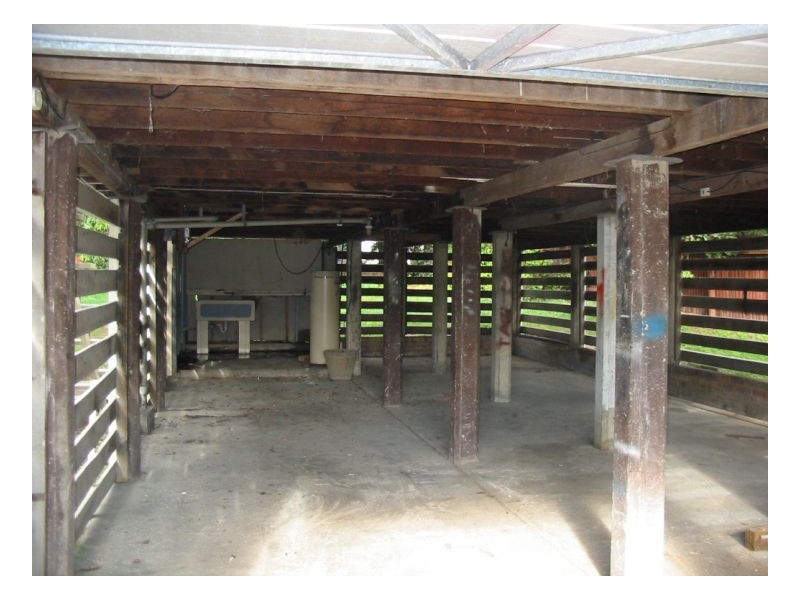 3 Argonaut Street, Slacks Creek QLD 4127