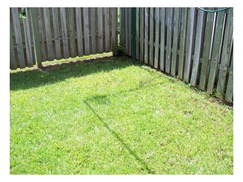 47 125 Pappas Way, Carrara QLD 4211