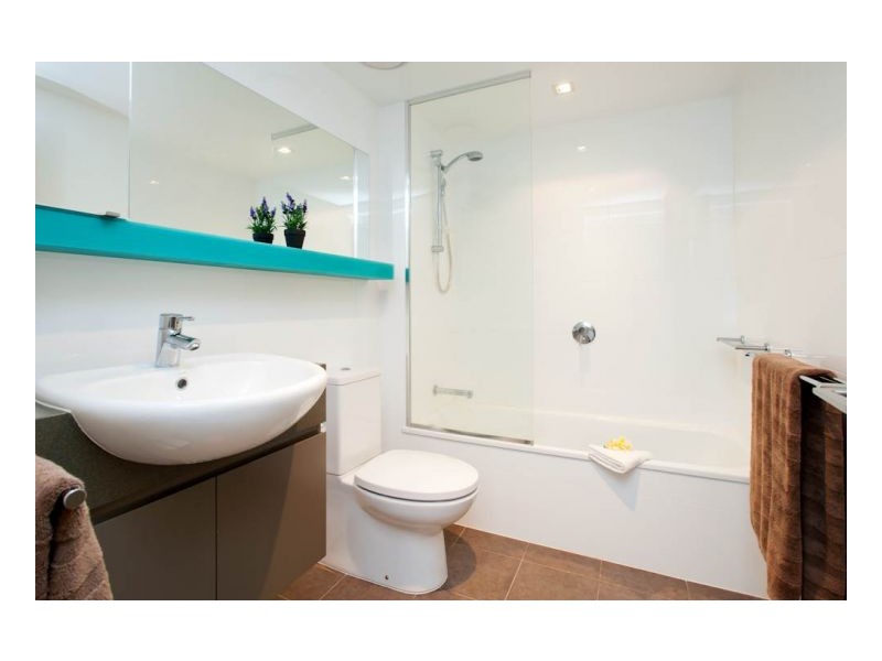 19/5 Alexandra Street, Paddington QLD 4064