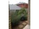 11 Whitecedar Cct, North Lakes QLD 4509