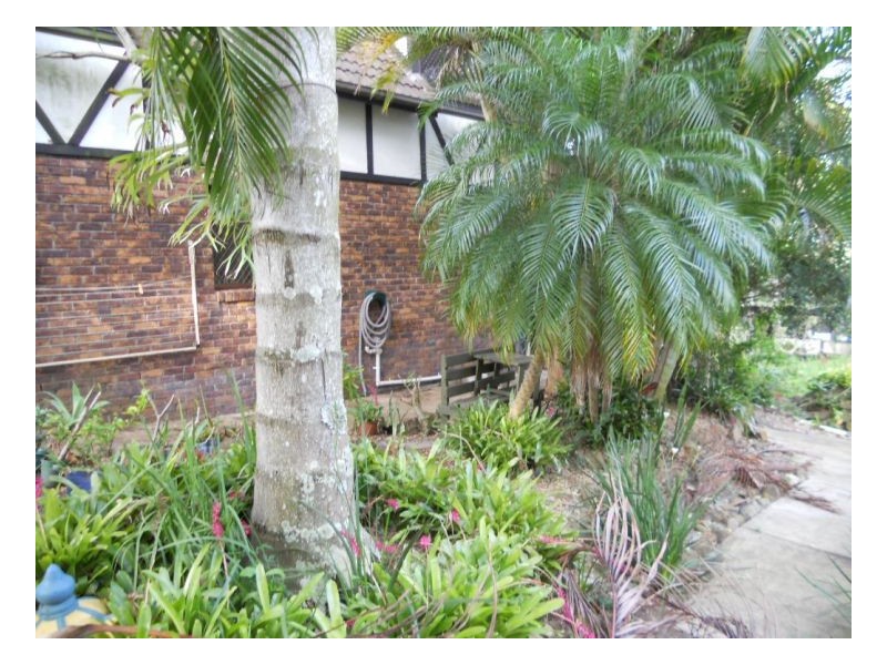 6 Torulosa, Cornubia QLD 4130