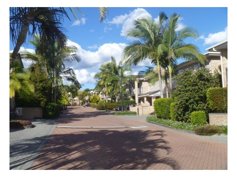 16 Arcadia Street, Eight Mile Plains QLD 4113