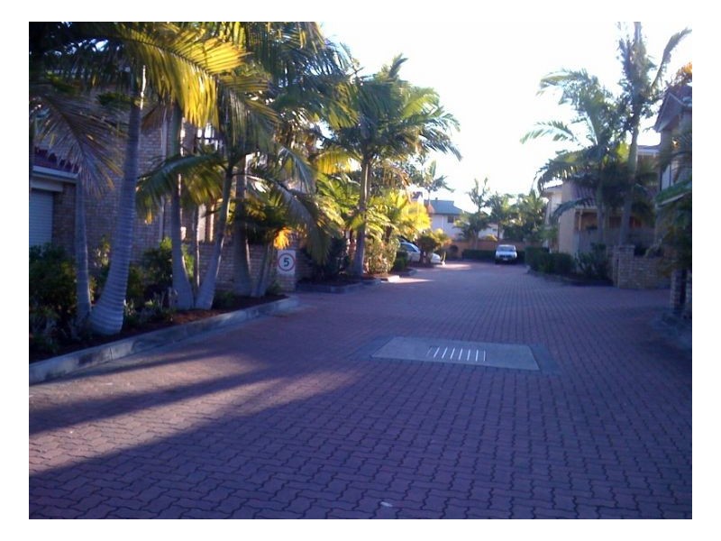 41/ 88 Kameruka St, Calamvale QLD 4116