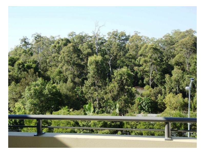 H03 Acacia Court, Robina QLD 4226