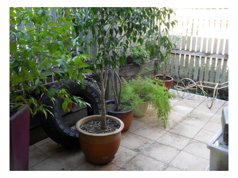 20/36 Weedons Road, Nerang QLD 4211