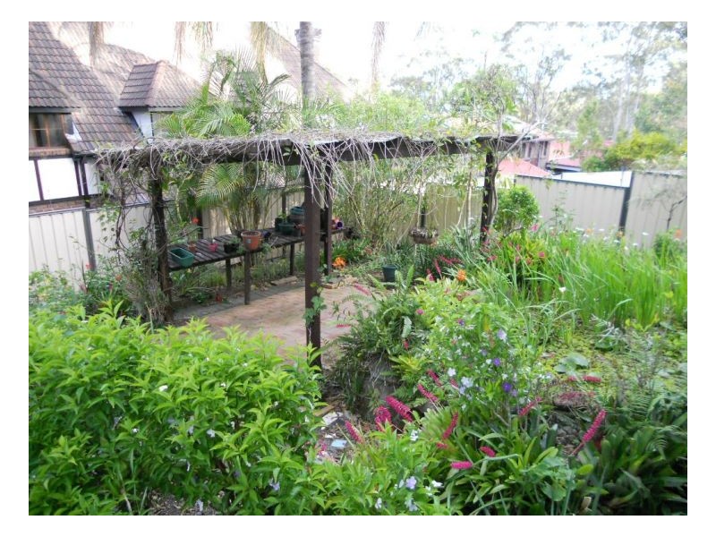 6 Torulosa St, Cornubia QLD 4130