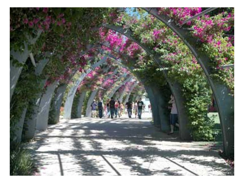 234/186 Grey Street, South Bank QLD 4101