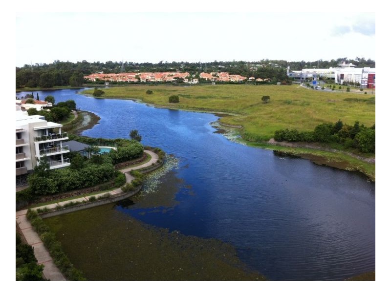 31A Laver Drive, Robina QLD 4226