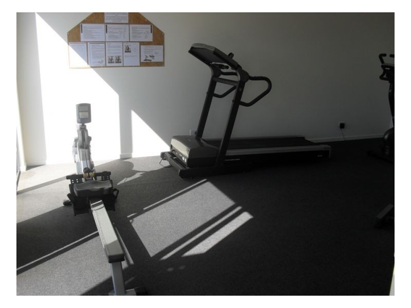 17 1 Belongil Street, Pacific Pines QLD 4211