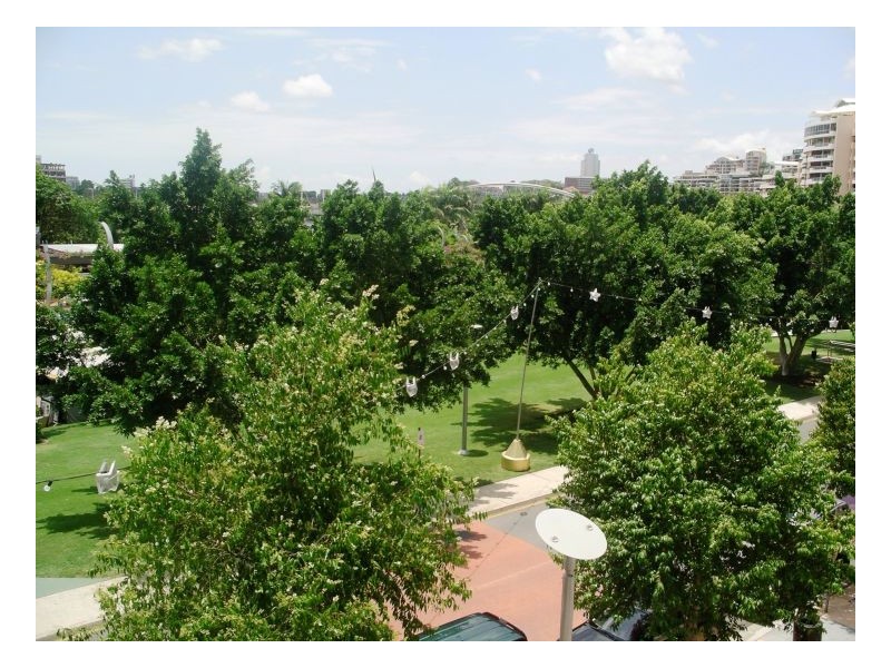 211/182 Grey Street, South Bank QLD 4101