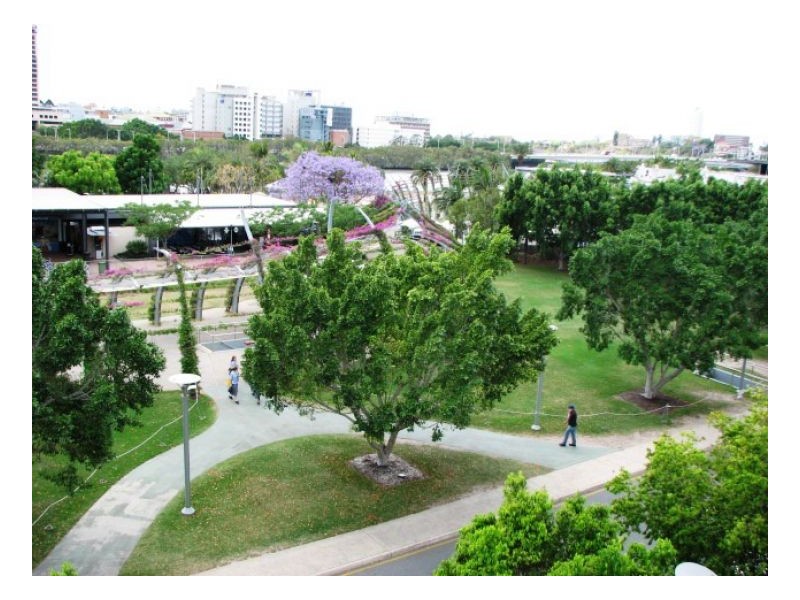 1318/168 Grey Street, South Bank QLD 4101