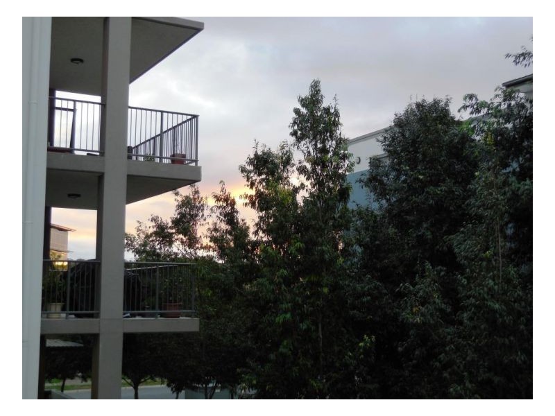 D03 2 Acacia Crt, Robina QLD 4226
