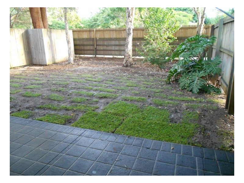 Thorneside QLD 4158