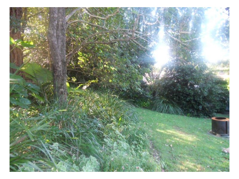 33 Lowanna Drive, Ashmore QLD 4214