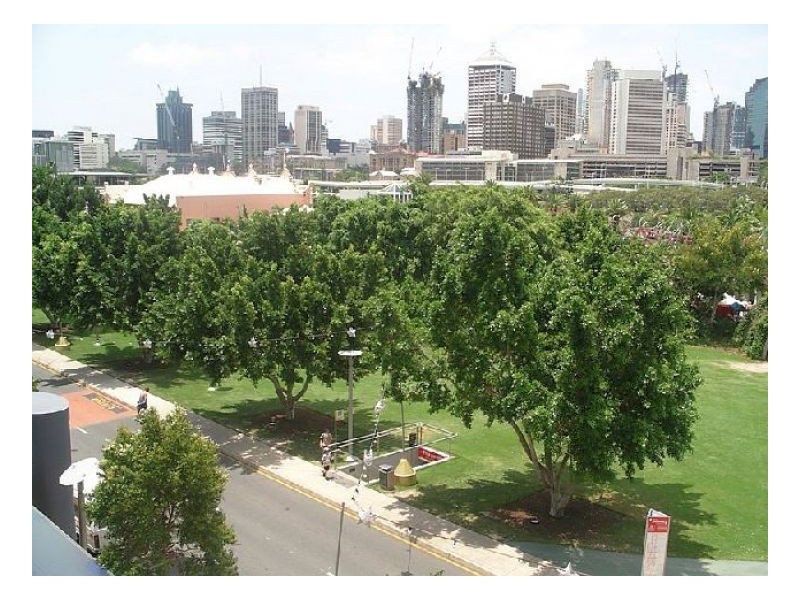 2313/182 Grey Street, South Brisbane QLD 4101