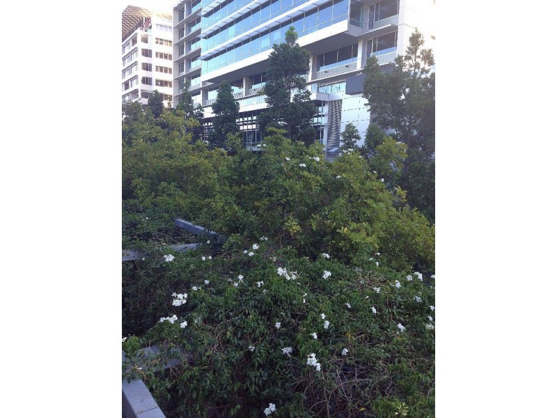 226/176 Grey Street, South Bank QLD 4101