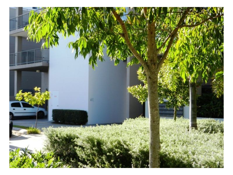 E01 2 Acacia Crt, Robina QLD 4226