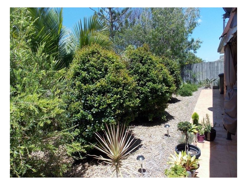 Sunnybank Hills QLD 4109