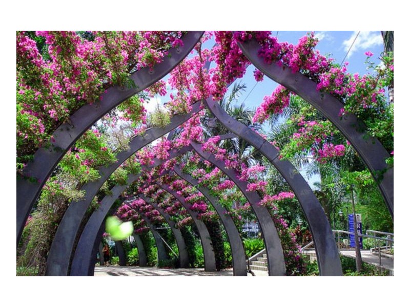 15 Tribune Street, South Brisbane QLD 4101