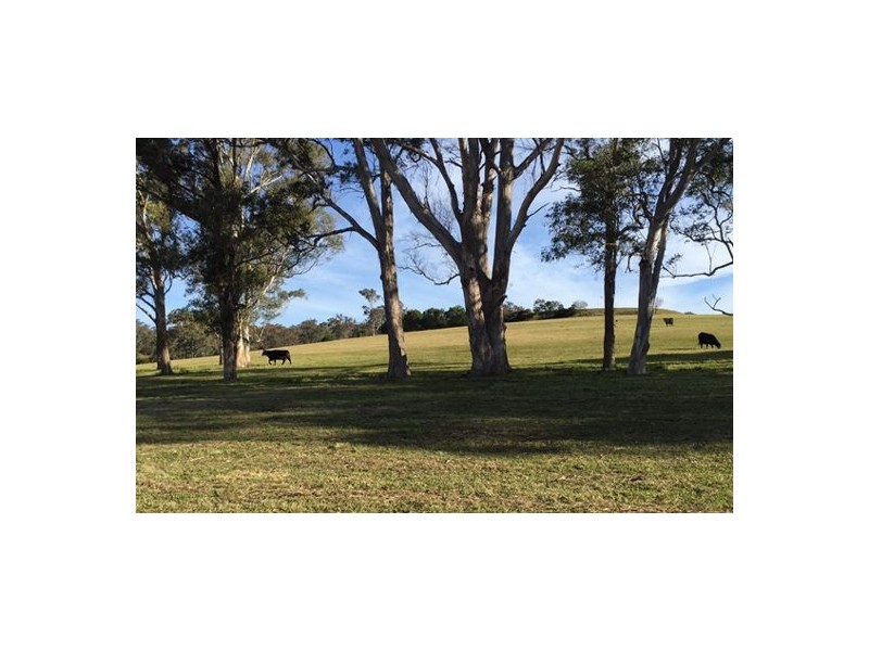 Lot 11 Grose Vale Road, North Richmond NSW 2754