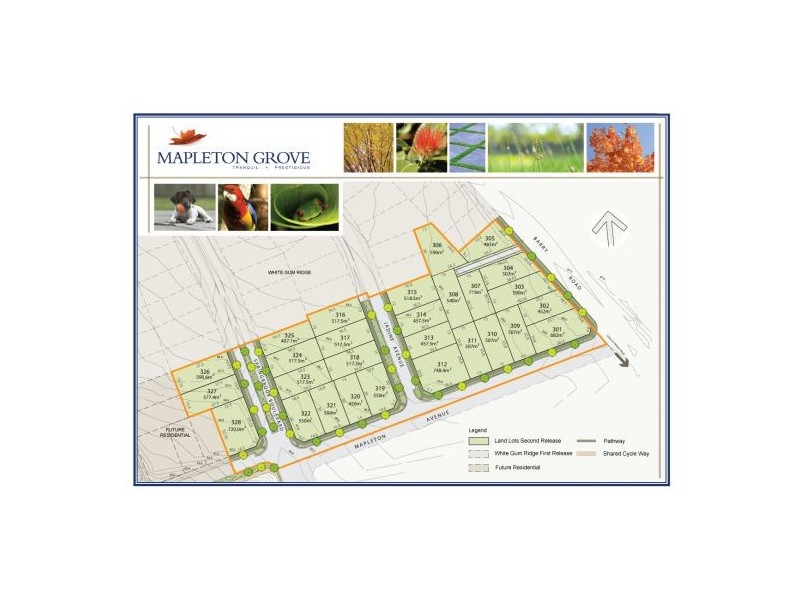Lot 311 Barry Rd, Kellyville NSW 2155