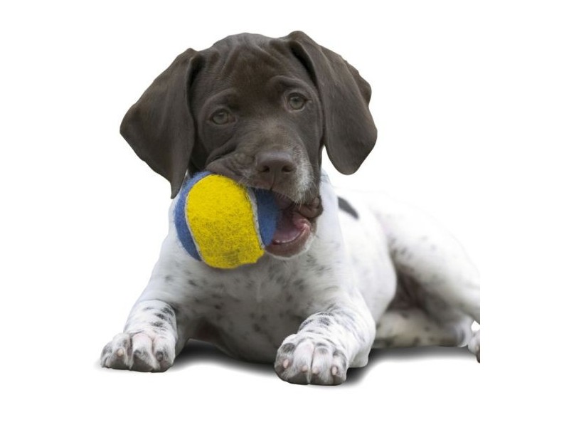 Lot 311 Barry Rd, Kellyville NSW 2155