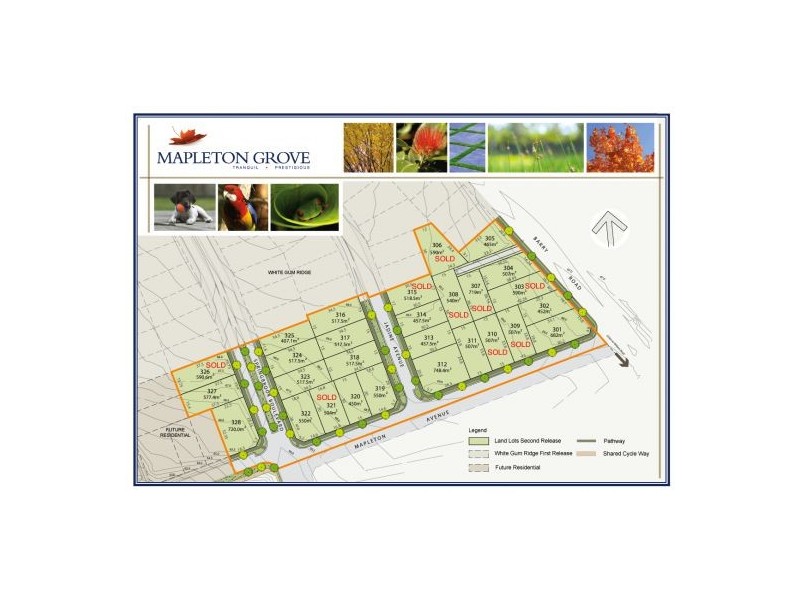 Lot 313 Barry Rd, Kellyville NSW 2155