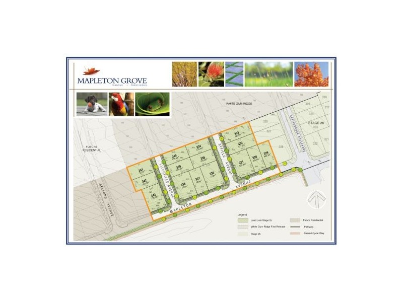 Lot 329 Mapleton Ave, Kellyville NSW 2155