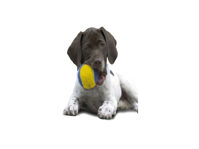 Lot 330 Mapleton Ave, Kellyville NSW 2155