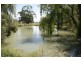 Mokanger Finley Rd, Deniliquin NSW 2710