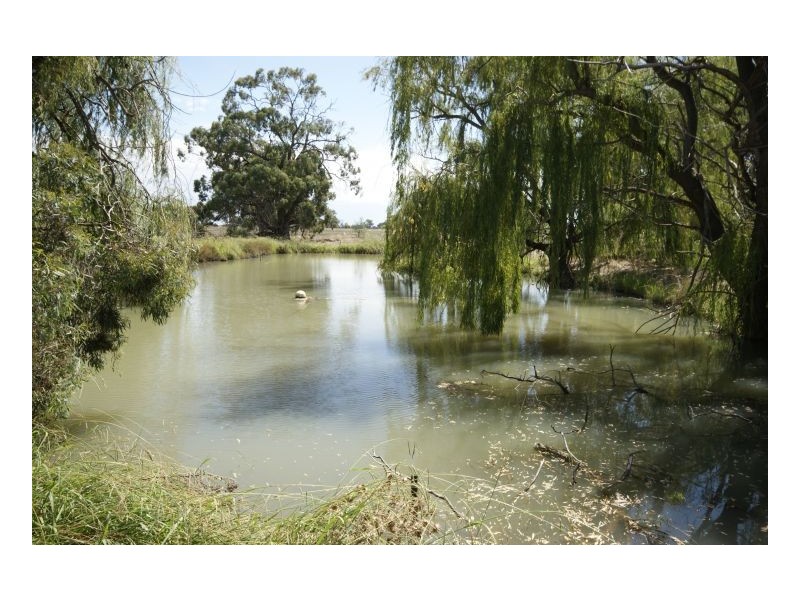 Mokanger Finley Rd, Deniliquin NSW 2710