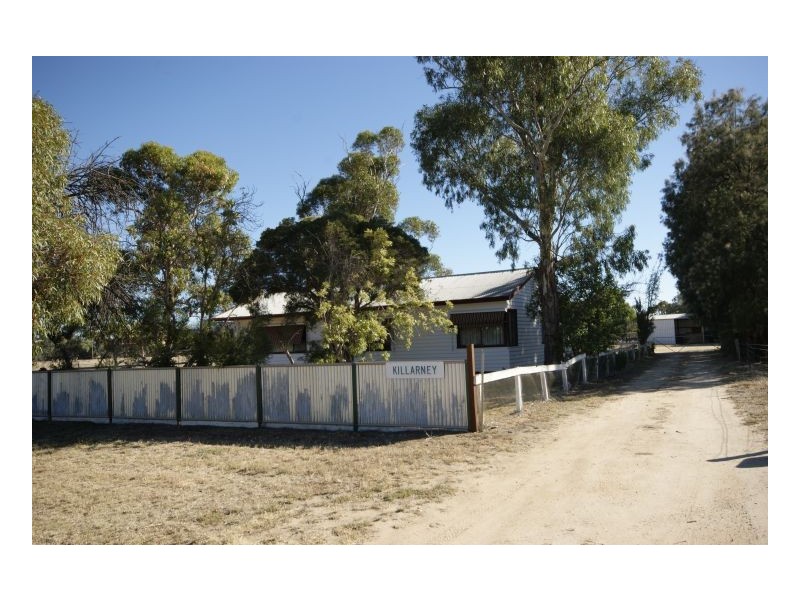 311 Flanagans Lane, Deniliquin NSW 2710