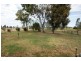 454 Todds Road, Deniliquin NSW 2710