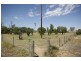 408 Marshalls Rd, Deniliquin NSW 2710