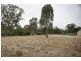 Lot 8 Riverside Estate, Deniliquin NSW 2710
