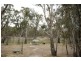Lot 8 Riverside Estate, Deniliquin NSW 2710