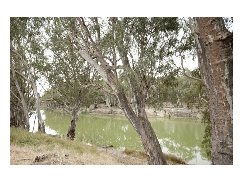 Lot 8 Riverside Estate, Deniliquin NSW 2710