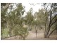 Lot 8 Riverside Estate, Deniliquin NSW 2710