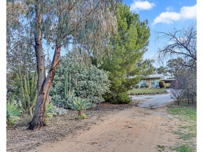 408 Hay Road, Deniliquin NSW 2710