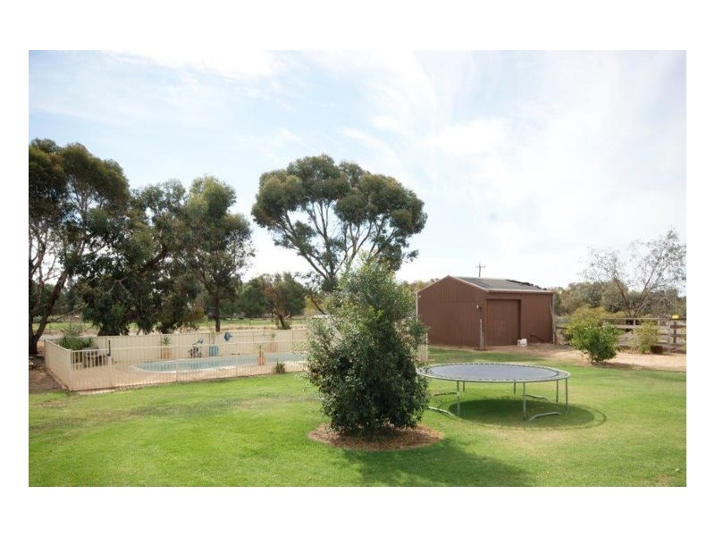 177 Lawson Syphon Road, Deniliquin NSW 2710